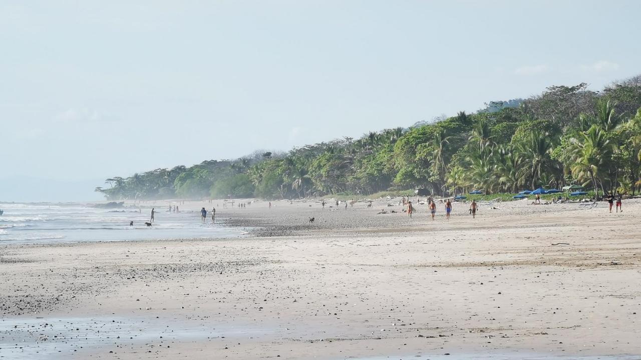 Colibri Apartments - 4 Min Walk To The Beach! Playa Santa Teresa  Buitenkant foto